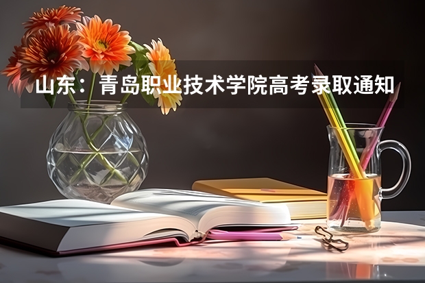 山东：青岛职业技术学院高考录取通知书查询入口 贵州电子信息职业技术学院高考录取通知书查询入口