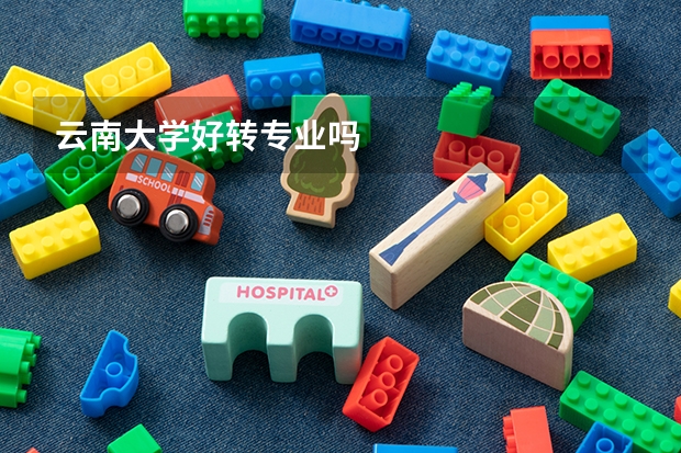 云南大学好转专业吗