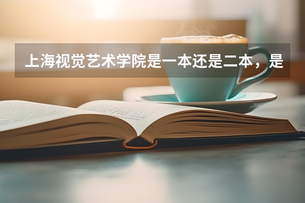 上海视觉艺术学院是一本还是二本,是民办的还是公办。其性质与上海其他哪些艺术类大学一样。