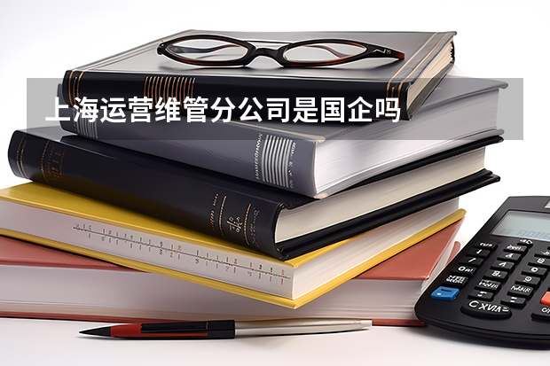 上海运营维管分公司是国企吗