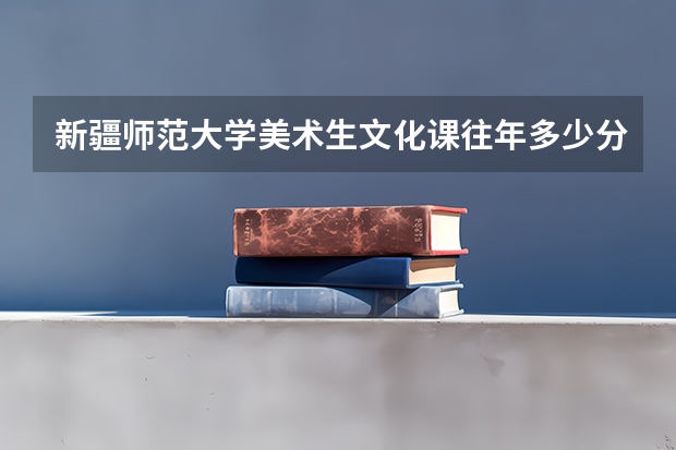 新疆师范大学美术生文化课往年多少分就可以上