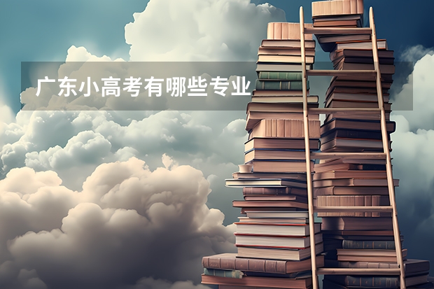 广东小高考有哪些专业
