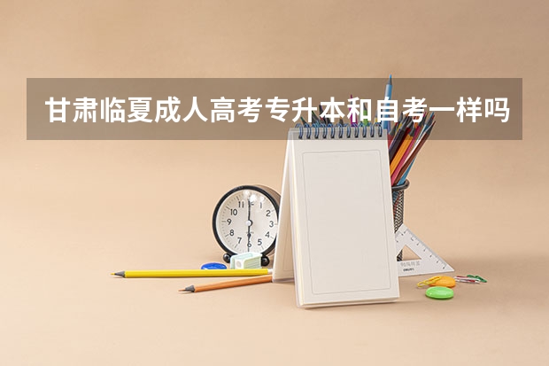 甘肃临夏成人高考专升本和自考一样吗？