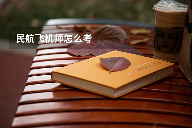 民航飞机师怎么考