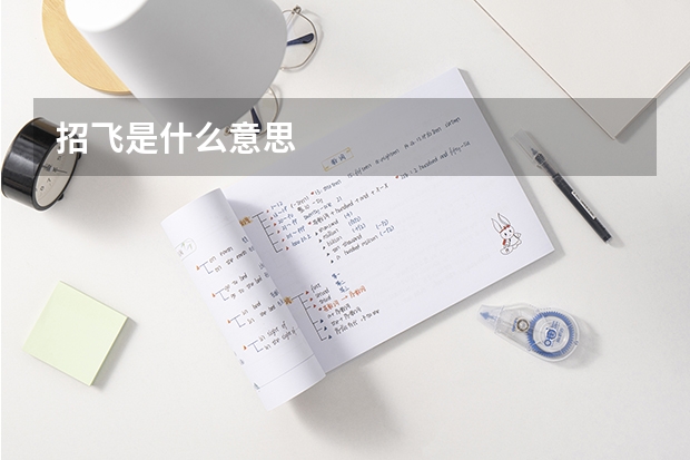 招飞是什么意思