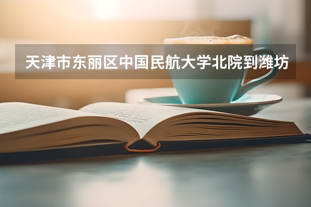 天津市东丽区中国民航大学北院到潍坊自驾车高速怎么走