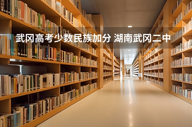 武冈高考少数民族加分 湖南武冈二中高考成绩