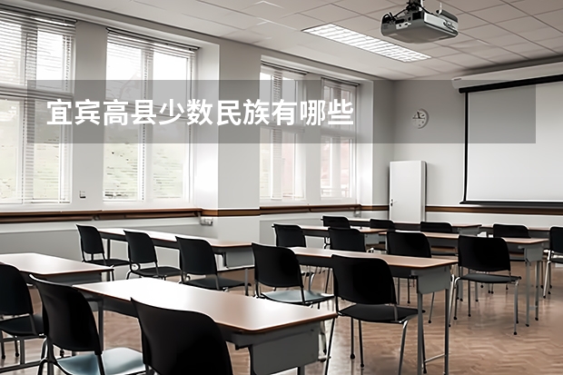 宜宾高县少数民族有哪些