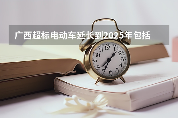 广西超标电动车延长到2025年包括南宁的大绿牌吗?